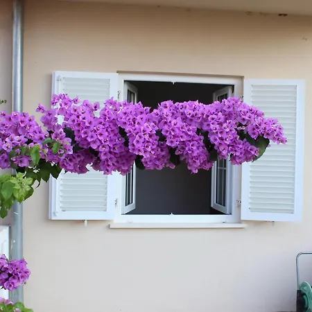 Mladen Apartment *